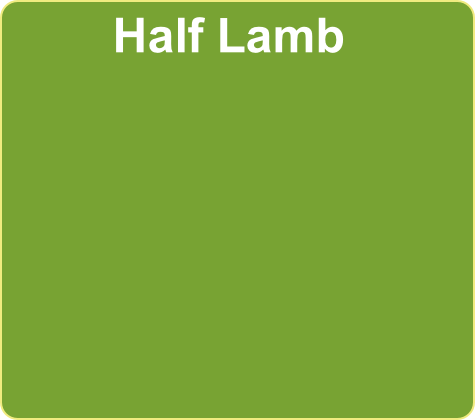 Half Lamb

